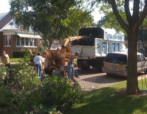 Cleaning up the debris