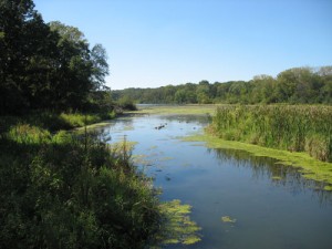 One of the lakes at Rock Cut