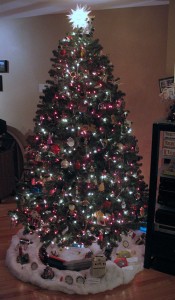 Tanner Christmas Tree 2010