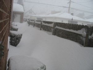 Snow attempts to bury the fence