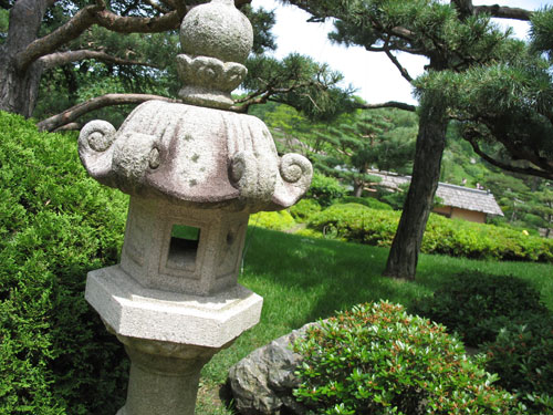 Exploring the Japanese Garden
