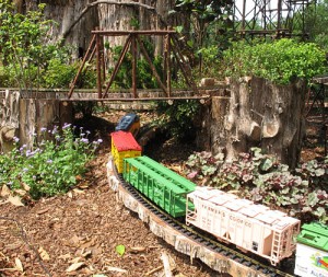 Garden Railroad