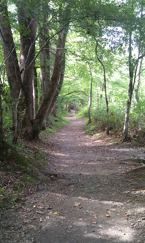 Hiking the Oconaluftee River Trail