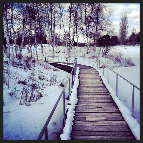 Bridge to Spider Island