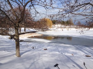 Snow, color, and ice