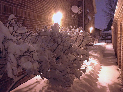 Snow behind our condo